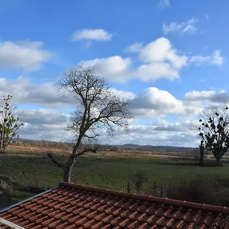 Le Nid Des Cigognes Avec Terrace Thionville