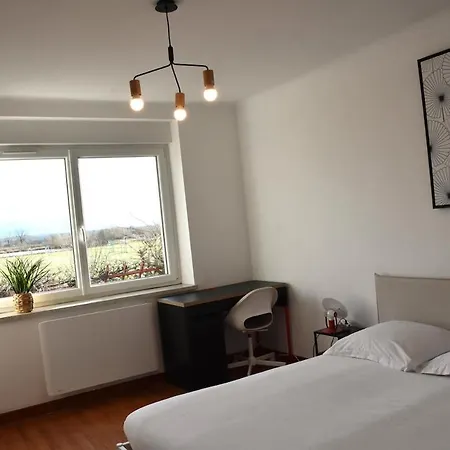 Le Nid Des Cigognes Avec Terrace Thionville