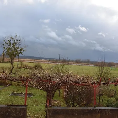 Le Nid Des Cigognes Avec Terrace * Thionville