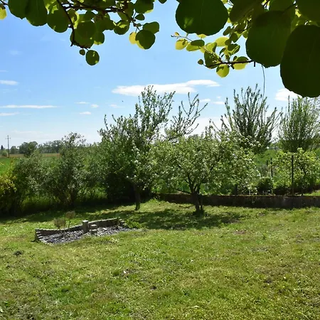 Lejlighed Le Nid Des Cigognes Avec Terrace