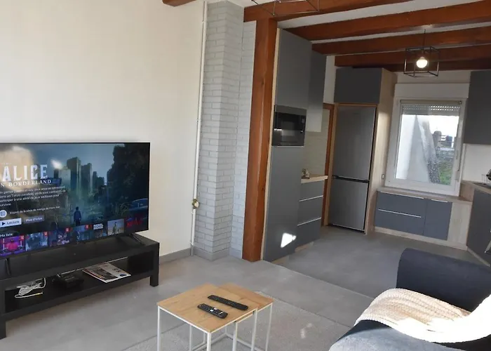 Apartmán Le Nid Des Cigognes Avec Terrace *