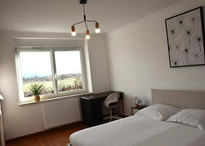 Le Nid Des Cigognes Avec Terrace Thionville