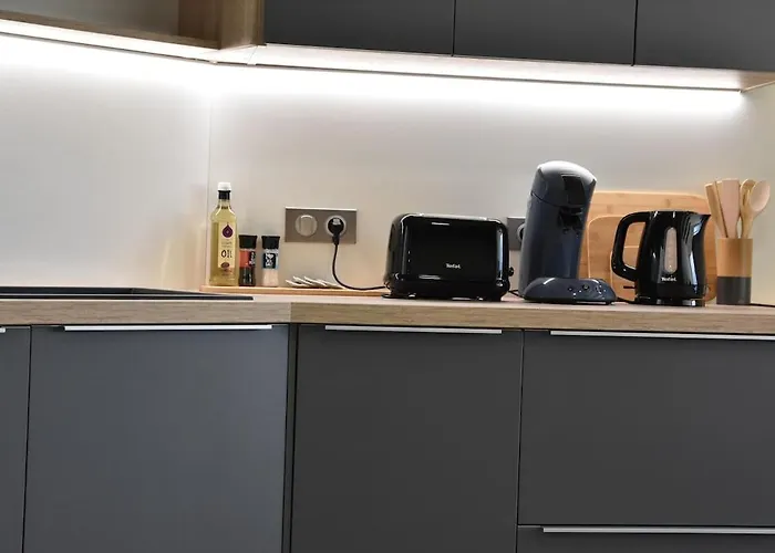 Le Nid Des Cigognes Avec Terrace Apartmán Thionville